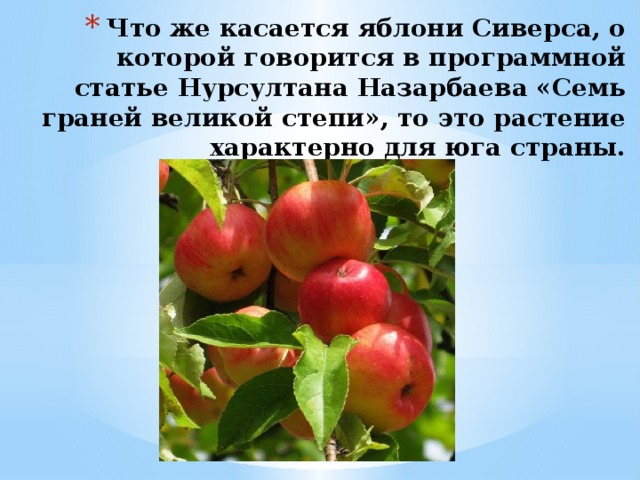 Что же касается яблони Сиверса, о которой говорится в программной статье Нурсултана Назарбаева «Семь граней великой степи», то это растение характерно для юга страны.