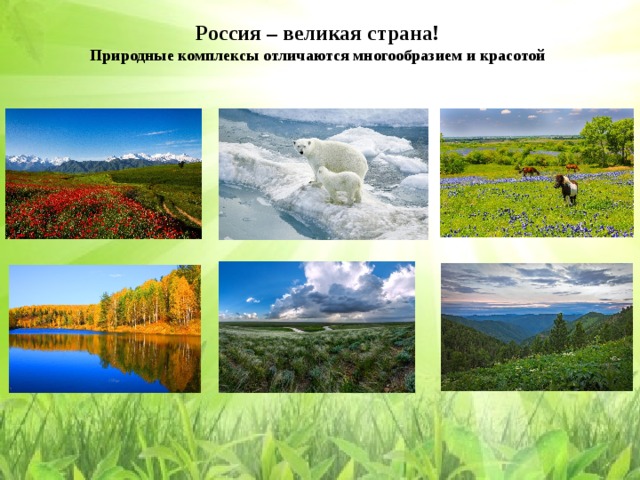 Разнообразие природных комплексов россии презентация 8 класс география