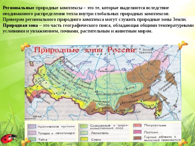 Региональные  природные комплексы – это те, которые выделяются вследствие неодинакового распределения тепла внутри глобальных природных комплексов. Примером регионального природного комплекса могут служить природные зоны Земли.  Природная зона  – это часть географического пояса, обладающая общими температурными условиями и увлажнением, почвами, растительным и животным миром.