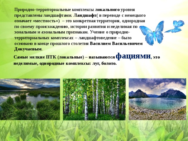 Природно-территориальные комплексы  локального  уровня представлены ландшафтами.  Ландшафт( в  переводе с немецкого означает «местность»)    – это конкретная территория, однородная по своему происхождению, истории развития и неделимая по зональным и азональным признакам. Учение о природно-территориальных комплексах – ландшафтоведение – было основано в конце прошлого столетия  Василием Васильевичем Докучаевым . Самые мелкие ПТК (локальные) – называются фациями , это неделимые, однородные комплексы: луг, болото.