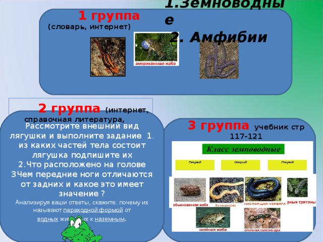 1.Земноводные  2. Амфибии   1 группа (словарь, интернет)  2 группа (интернет, справочная литература, Рассмотрите внешний вид лягушки и выполните задание 1. из каких частей тела состоит лягушка подпишите их 2.Что расположено на голове 3Чем передние ноги отличаются от задних и какое это имеет значение ? Анализируя ваши ответы, скажите: почему их называют  переходной формой  от водных  животных к  наземным . . 3 группа учебник стр 117-121