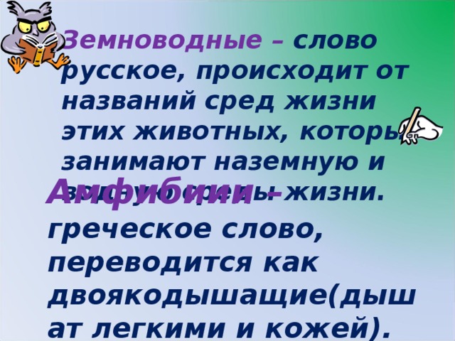 Земноводные – слово русское, происходит от названий сред жизни этих животных, которые занимают наземную и водную среды жизни. Амфибиии – греческое слово, переводится как двоякодышащие(дышат легкими и кожей).