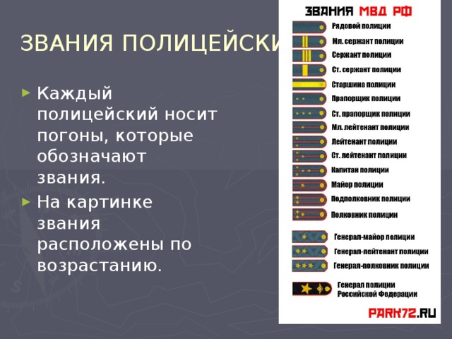 ЗВАНИЯ ПОЛИЦЕЙСКИХ  Каждый полицейский носит погоны, которые обозначают звания. На картинке звания расположены по возрастанию.