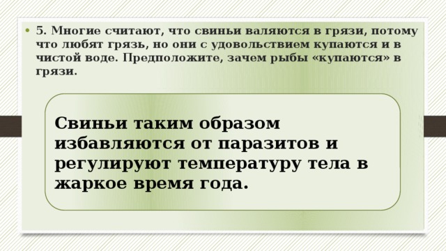 5. Многие считают, что свиньи валяются в грязи, потому что любят грязь, но они с удовольствием купаются и в чистой воде. Предположите, зачем рыбы «купаются» в грязи.