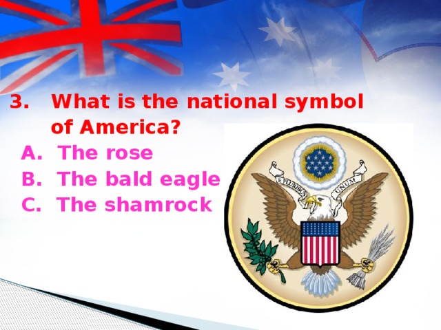 3. What is the national symbol  of America?  A. The rose  B. The bald eagle  C. The shamrock