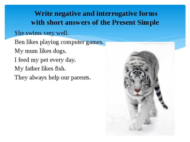 Write negative and interrogative forms with short answers of the Present Simple She swims very well. Ben likes playing computer games. My mum likes dogs. I feed my pet every day. My father likes fish. They always help our parents.