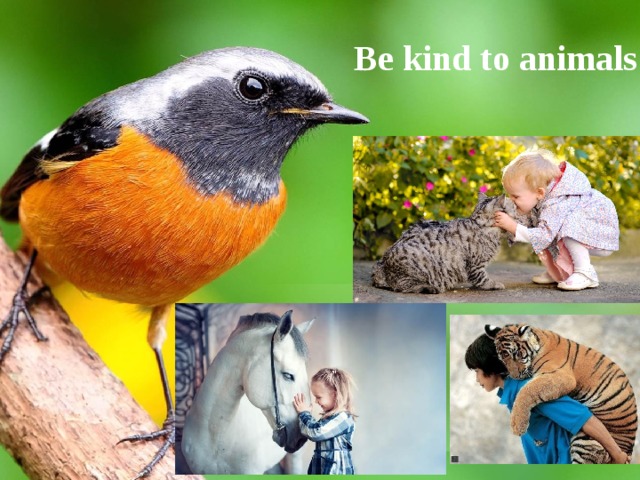 Be kind to animals!