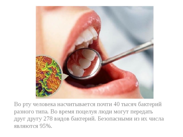 Во рту человека насчитывается почти 40 тысяч бактерий разного типа. Во время поцелуя люди могут передать друг другу 278 видов бактерий. Безопасными из их числа являются 95%.