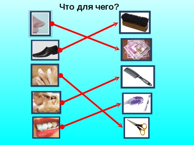 Что для чего?