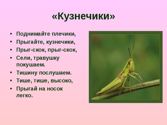 «Кузнечики»