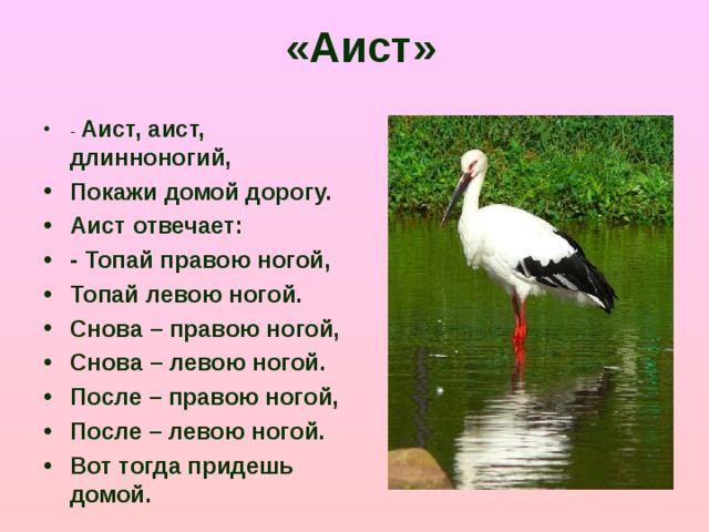 «Аист»