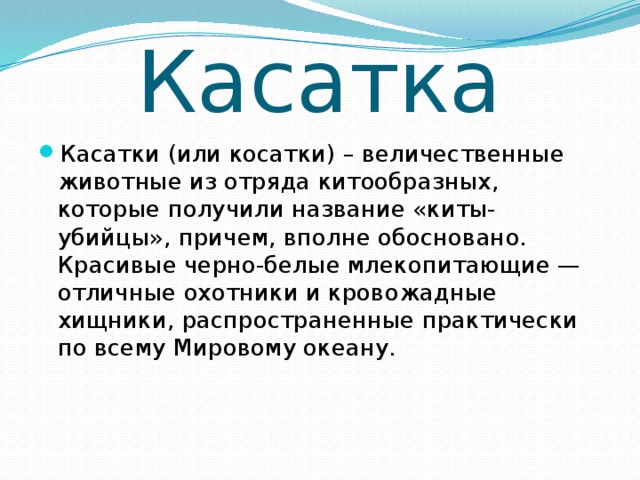 Касатка