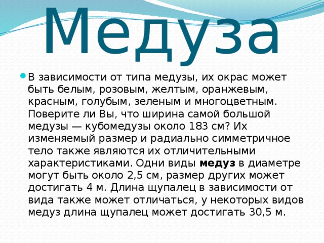 Медуза