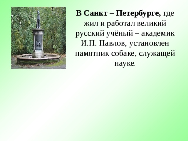 В Санкт – Петербурге, где жил и работал великий русский учёный – академик И.П. Павлов, установлен памятник собаке, служащей науке .