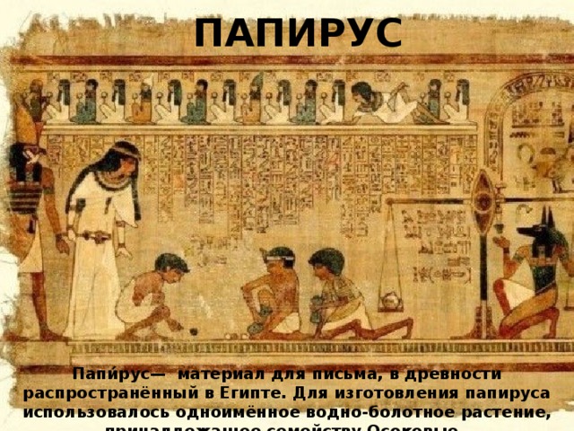 ПАПИРУС Папи́рус— материал для письма, в древности распространённый в Египте. Для изготовления папируса использовалось одноимённое водно-болотное растение, принадлежащее семейству Осоковые. 