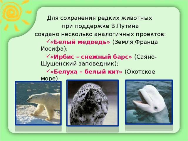 Для сохранения редких животных при поддержке В.Путина создано несколько аналогичных проектов:
