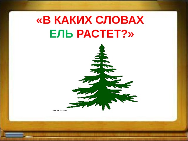 «В КАКИХ СЛОВАХ ЕЛЬ РАСТЕТ?»