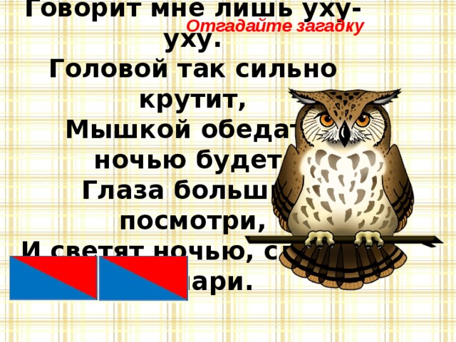 Отгадайте загадку Что за птица не пойму,  Говорит мне лишь уху-уху.  Головой так сильно крутит,  Мышкой обедать ночью будет.  Глаза большие посмотри,  И светят ночью, словно фонари.