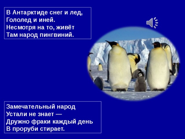 В Антарктиде снег и лед,  Гололед и иней.  Несмотря на то, живёт  Там народ пингвиний.  Замечательный народ  Устали не знает —  Дружно фраки каждый день  В проруби стирает.