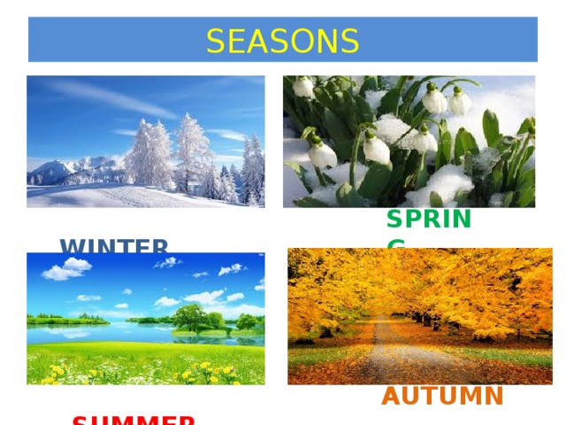 SEASONS  WINTER SPRING  SUMMER AUTUMN