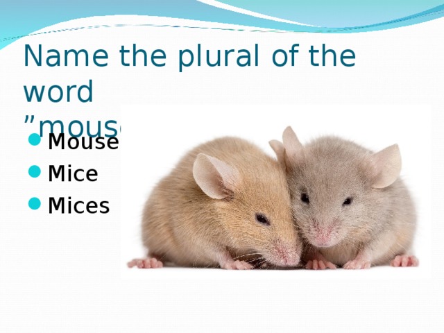 Name the plural of the word  ”mouse”