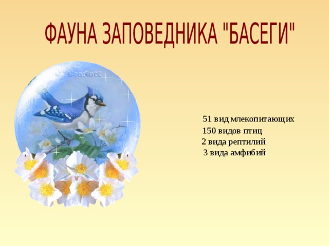 51 вид млекопитающих  150 видов птиц  2 вида рептилий  3 вида амфибий