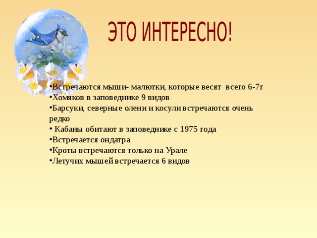 Встречаются мыши- малютки, которые весят всего 6-7г Хомяков в заповеднике 9 видов Барсуки, северные олени и косули встречаются очень редко  Кабаны обитают в заповеднике с 1975 года Встречается ондатра Кроты встречаются только на Урале Летучих мышей встречается 6 видов