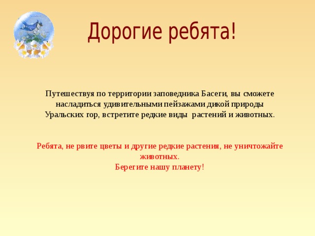 Путешествуя по территории заповедника Басеги, вы сможете насладиться удивительными пейзажами дикой природы Уральских гор, встретите редкие виды растений и животных. Ребята, не рвите цветы и другие редкие растения, не уничтожайте животных. Берегите нашу планету!