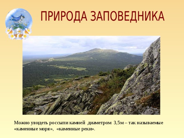 Можно увидеть россыпи камней диаметром 3,5м – так называемые «каменные моря», «каменные реки».