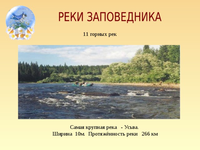 11 горных рек Самая крупная река - Усьва. Ширина 10м. Протяжённость реки 266 км