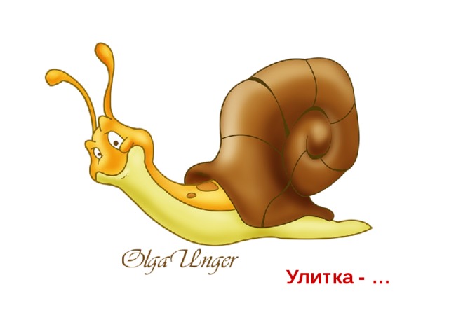Улитка - …