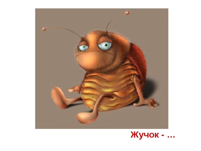 Жучок - …
