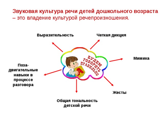 Звуковая культура речи детей дошкольного возраста  – это владение культурой речепроизношения. Выразительность Четкая дикция Мимика Поза-двигательные навыки в процессе разговора Жесты Общая тональность детской речи