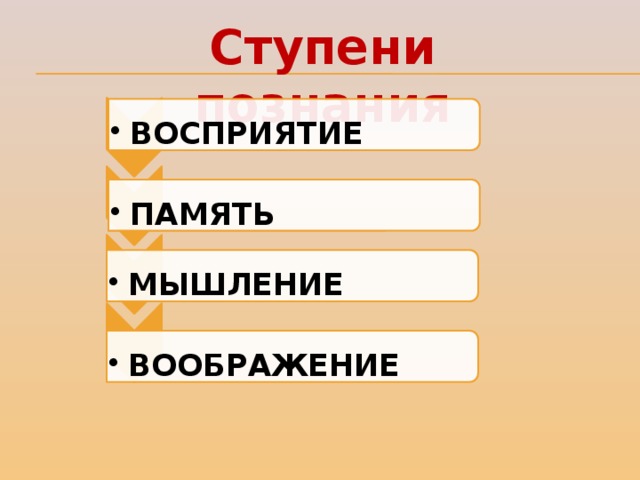 ВОСПРИЯТИЕ ВОСПРИЯТИЕ ПАМЯТЬ ПАМЯТЬ МЫШЛЕНИЕ МЫШЛЕНИЕ ВООБРАЖЕНИЕ ВООБРАЖЕНИЕ