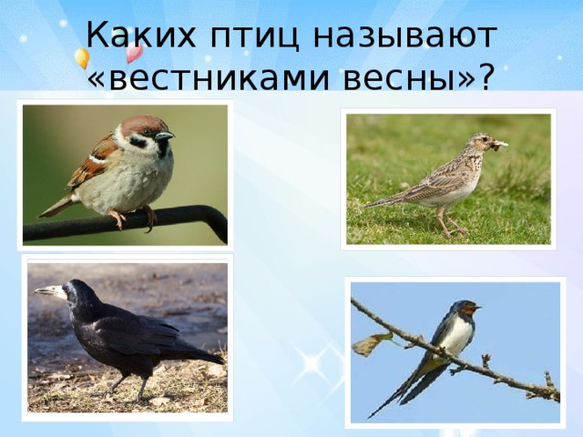 Каких птиц называют «вестниками весны»?
