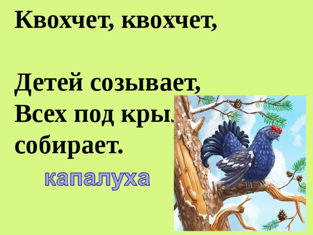 Квохчет, квохчет,  Детей созывает,  Всех под крыло собирает.