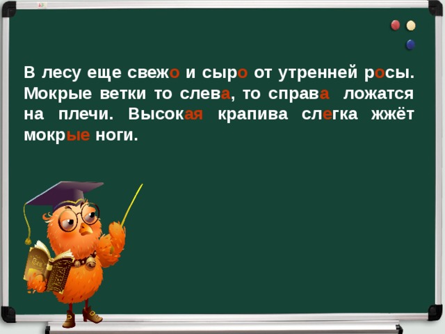 В лесу еще свеж о и сыр о от утренней р о сы. Мокрые ветки то слев а , то справ а ложатся на плечи. Высок ая крапива сл е гка жжёт мокр ые ноги.