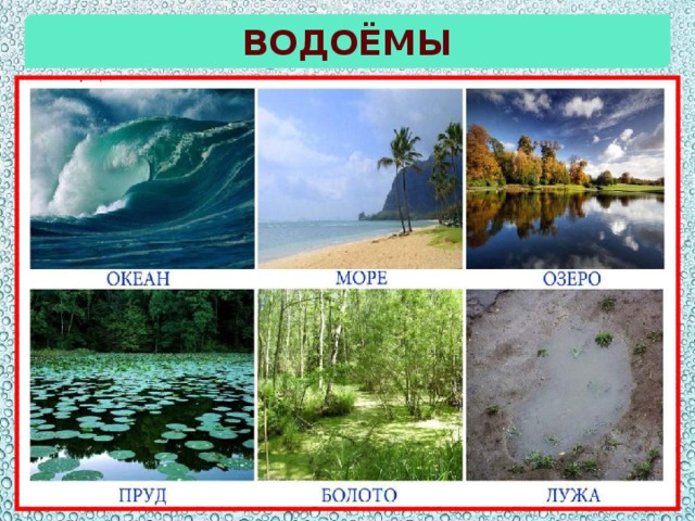 водоёмы