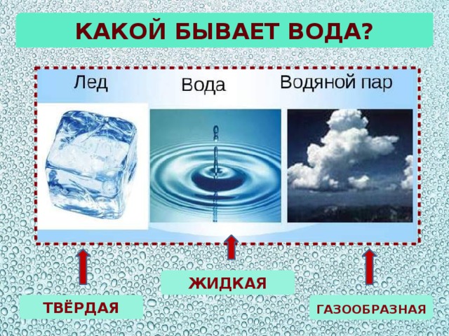 Какой бывает вода? ЖИДКАЯ ТВЁРДАЯ ГАЗООБРАЗНАЯ