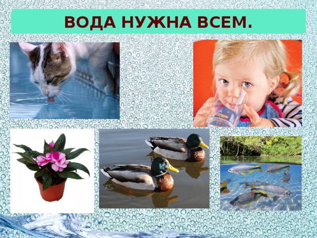 Вода нужна всем.