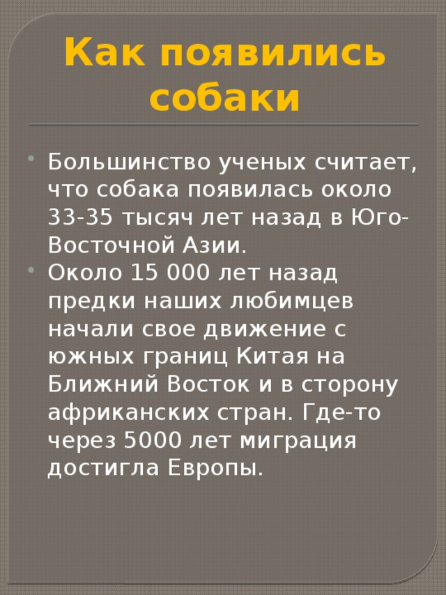 Как появились собаки