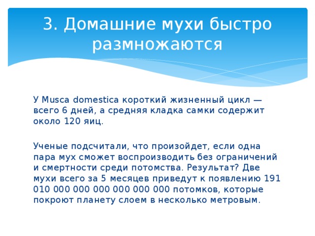 3. Домашние мухи быстро размножаются У Musca domestica короткий жизненный цикл — всего 6 дней, а средняя кладка самки содержит около 120 яиц. Ученые подсчитали, что произойдет, если одна пара мух сможет воспроизводить без ограничений и смертности среди потомства. Результат? Две мухи всего за 5 месяцев приведут к появлению 191 010 000 000 000 000 000 000 потомков, которые покроют планету слоем в несколько метровым.