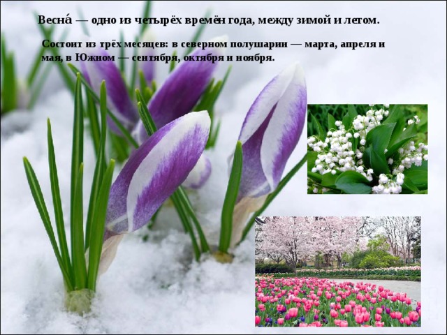 Презентация цветущая весна