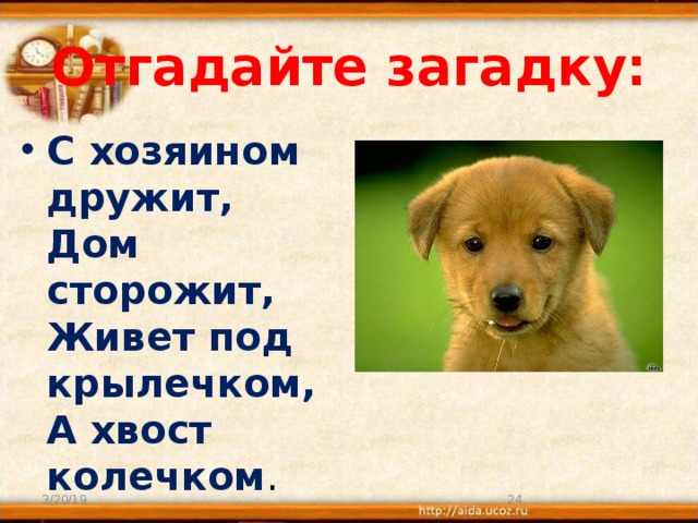 Отгадайте загадку: С хозяином дружит,   Дом сторожит,   Живет под крылечком,   А хвост колечком .  3/20/19