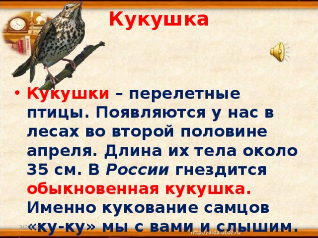 Кукушка   Кукушки – перелетные птицы. Появляются у нас в лесах во второй половине апреля. Длина их тела около 35 см. В России гнездится обыкновенная кукушка. Именно кукование самцов «ку-ку» мы с вами и слышим. 3/20/19