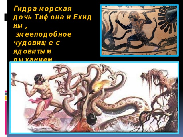 Гидра морская дочь Тифона и Ехидны,   змееподобное чудовище с ядовитым дыханием, обитавшее в подземных водах, убитое Гераклом