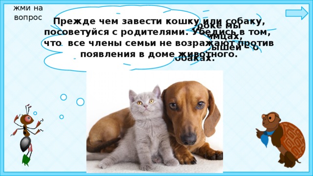 жми на вопрос Прежде чем завести кошку или собаку, посоветуйся с родителями. Убедись в том, что все члены семьи не возражают против появления в доме животного. Ребята, сегодня на уроке мы будем говорить о любимцах, живущих с нами одной крышей – о кошках и собаках.