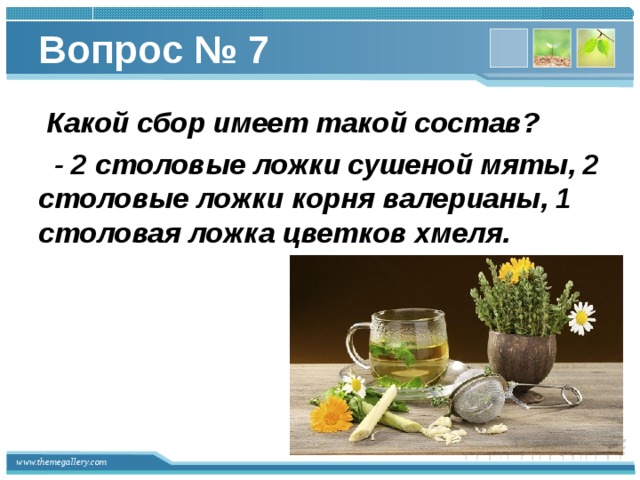 Вопрос № 7  Какой сбор имеет такой состав?  - 2 столовые ложки сушеной мяты, 2 столовые ложки корня валерианы, 1 столовая ложка цветков хмеля.