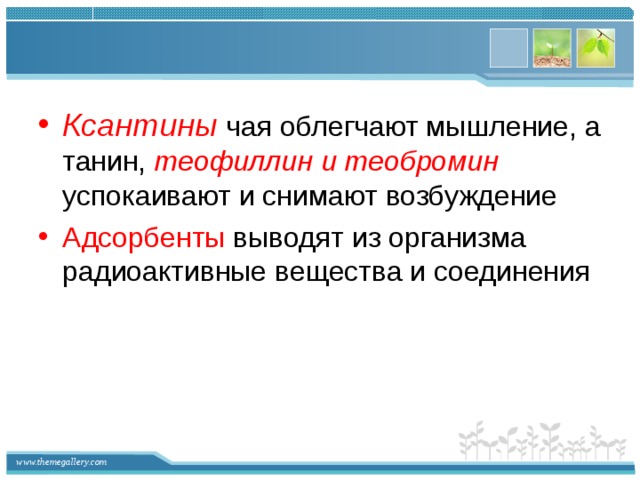 Ксантины чая облегчают мышление, а танин, теофиллин и теобромин  успокаивают и снимают возбуждение Адсорбенты выводят из организма радиоактивные вещества и соединения