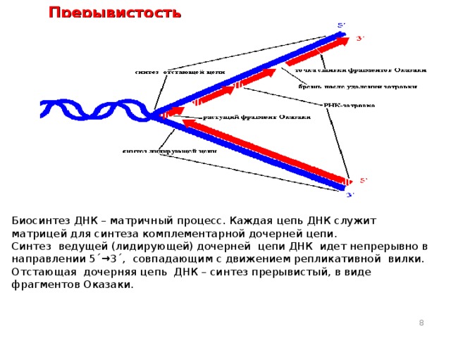 Что является матрицей в процессе обозначенном на рисунке цифрой 1